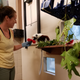 A primate technician feeds Drusilla, a Coquerel’s sifaka, some yummy hibiscus flowers as they hide from the hurricane inside.